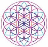 Meliora Activate
