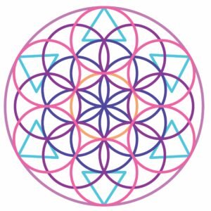 Meliora Activate v1.0